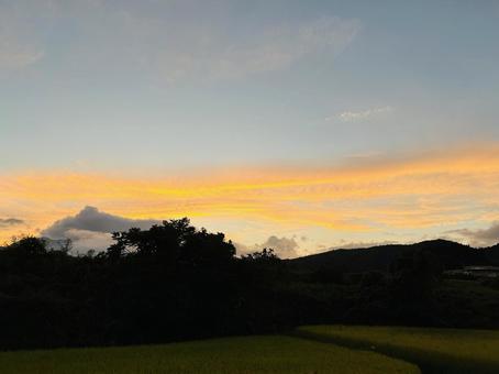 田んぼと夕焼け 田んぼと夕焼けの写真