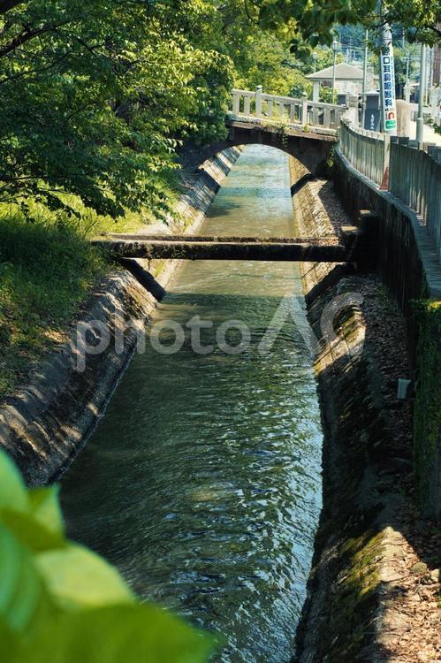 小川の風景 小川,自然,風景の写真素材