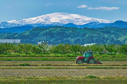 寒河江の五月、新緑の果樹園と月山 春,山形,月山の写真素材