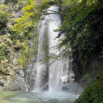 箕面大滝 箕面大滝の写真