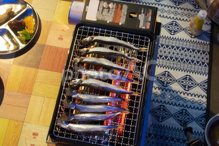シシャモを焼く シシャモ,魚,焼くの写真素材