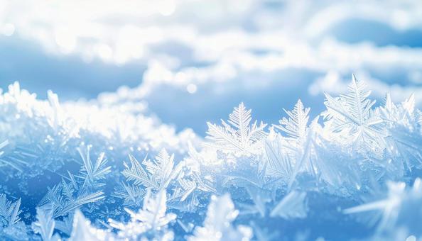 輝く雪の結晶と冬の自然美 輝く雪の結晶と冬の自然美の写真