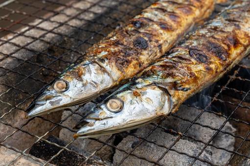炭火で焼く秋刀魚 炭火で焼く秋刀魚 秋刀魚,サンマ,炭火の写真素材