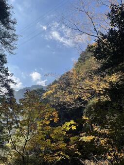 晩秋の紅葉 山,空,緑の写真素材