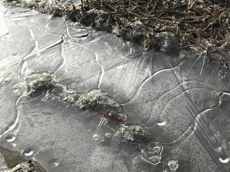 薄氷 薄氷の写真