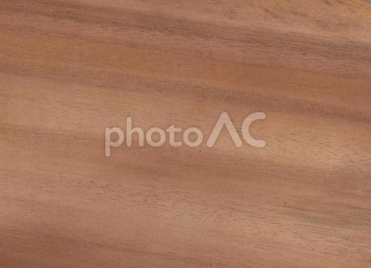 アカシアの木目 木,木目,ウッドの写真素材