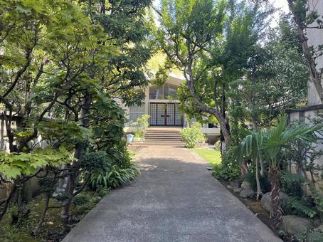 誓教寺 参道 誓教寺 参道 誓教寺,羽南侶梅書,せいきょうじの写真素材