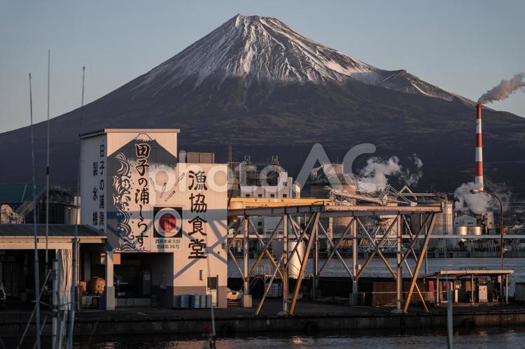 朝の田子の浦漁港 富士山,田子の浦漁港,風景の写真素材