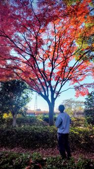 ぼーっとするおじさん 112 おじさん,男性,後ろ姿の写真素材