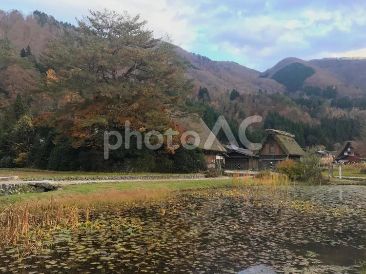 日本の世界遺産、白川郷 日本,岐阜,白川郷の写真素材