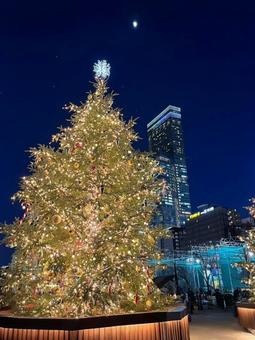 クリスマスツリー クリスマスツリー,イルミネーション,夜の写真素材