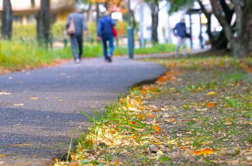 落葉の遊歩道（ローアングル） 落葉,木,人の写真素材