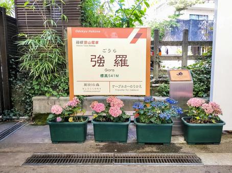 箱根登山鉄道 強羅駅の駅名標 箱根登山鉄道 強羅駅の駅名標 強羅駅,箱根登山鉄道,箱根登山電車の写真素材
