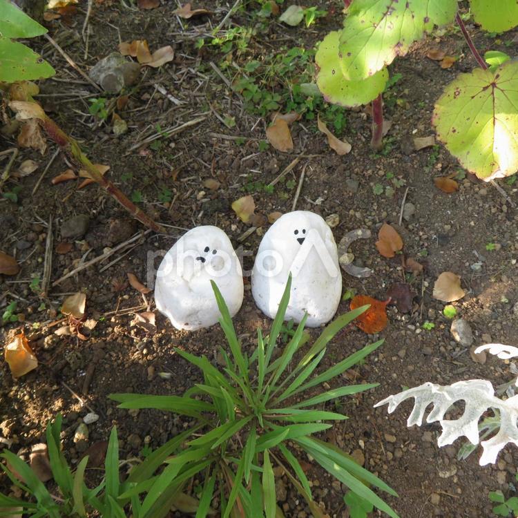 花壇の中の小さな石で出来たゴースト ゴースト,お化け,ハロウィンの写真素材