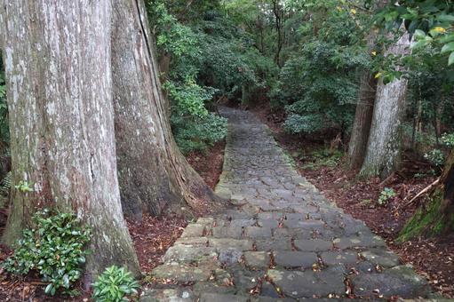 大門坂 大門坂 那智の滝,那智,熊野古道の写真素材