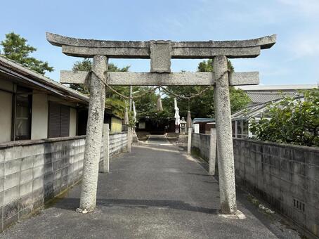 御崎神社　鳥居 御崎神社,鳥居,おんざきじんじゃの写真素材