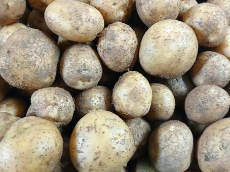 ジャガイモ 土付き ジャガイモ 土付き ジャガイモ,野菜,土付きの写真素材