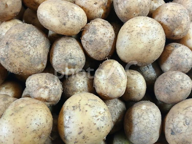 ジャガイモ　土付き ジャガイモ,野菜,土付きの写真素材