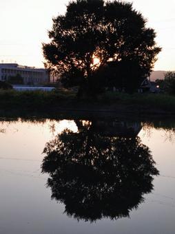 Photo, summer, reflection, silhouette, 