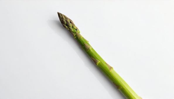 白い背景にアスパラガス 白い背景にアスパラガスの写真