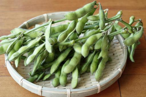 枝豆 枝豆 夏野菜,枝豆,おつまみの写真素材