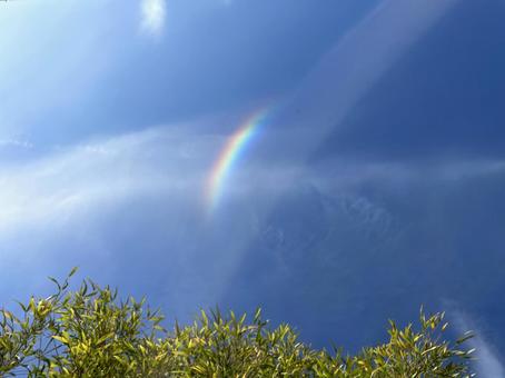 青空に浮かぶ微笑み 青空に浮かぶ微笑み 自然,虹,彩雲の写真素材