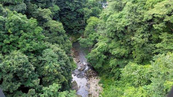 Photo, natural, kanazawa, ishikawa prefecture, 