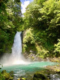 天城峠の浄蓮の滝 天城峠の浄蓮の滝 天城峠,浄蓮の滝,滝の写真素材