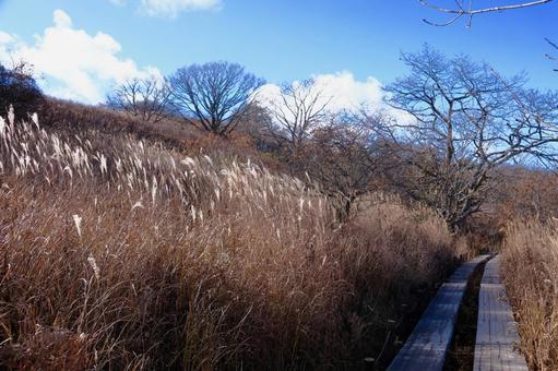 秋の八島湿原の写真