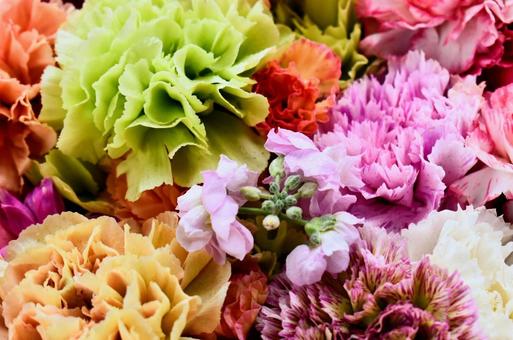 花 花の写真