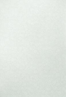 植物柄の淡い緑色の布地(背景素材) 植物柄の淡い緑色の布地(背景素材)の写真