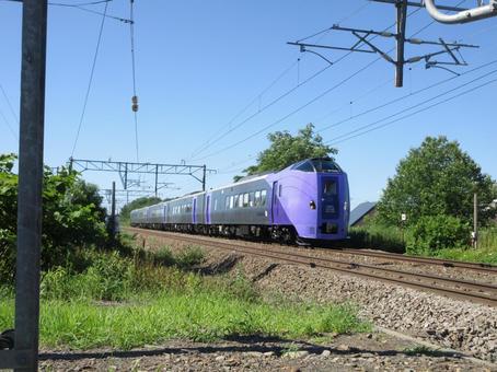 Photo, furano, lavender, express, 