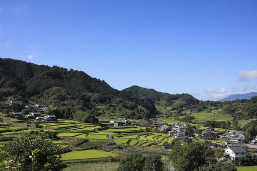 明日香-飛鳥-棚田-朝-秋 明日香-飛鳥-棚田-朝-秋 棚田,青空,飛鳥の写真素材