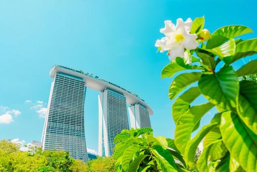 【シンガポール】マリーナベイサンズ 【シンガポール】マリーナベイサンズの写真