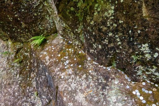 250527昇仙峡 山梨県,甲府市,昇仙峡の写真素材