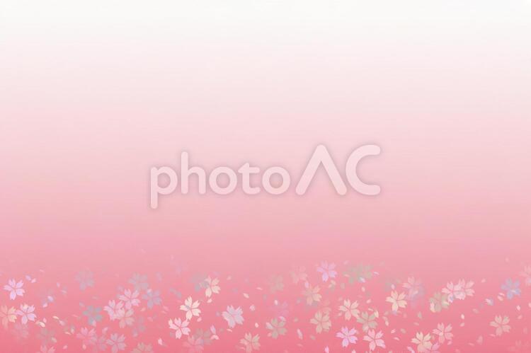 桜が散る背景 桜,背景,バックグラウンドの写真素材