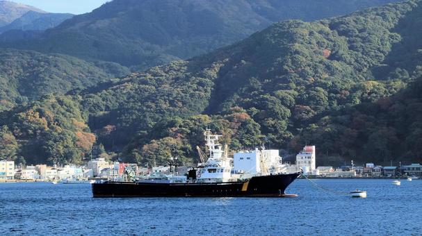 晩秋の戸田漁港に停泊するまき網漁船 戸田漁港,まき網漁船,海の写真素材
