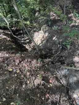 涸れた山の小川 涸れた山の小川の写真