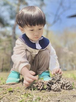 まつぼっくり まつぼっくり 子ども,屋外,遊びの写真素材