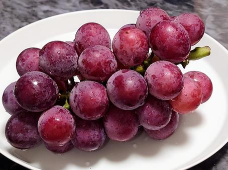 ぶどう一房 ぶどう一房の写真