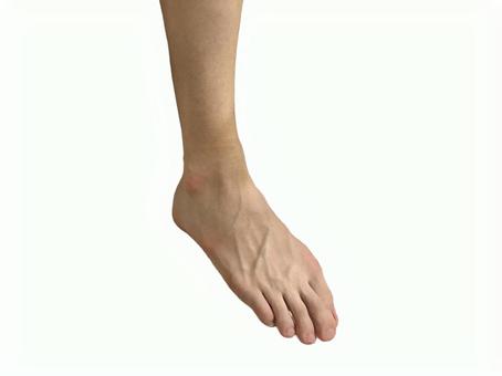 あし 男性 あし 男性の写真