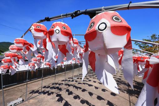 金魚ちょうちん祭り 金魚ちょうちん祭りの写真