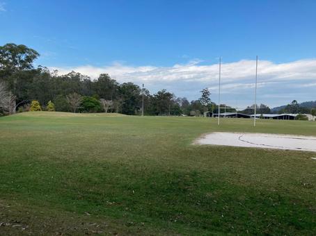 芝生　運動 木,海外,自然の写真素材