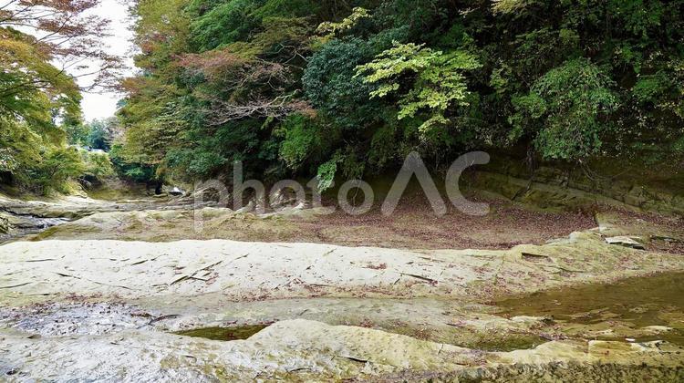 千葉県大多喜町養老渓谷　紅葉の粟又の滝 紅葉,粟又の滝,養老渓谷の写真素材