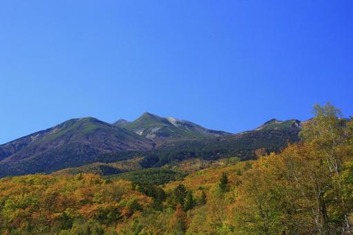 乗鞍高原の紅葉 乗鞍高原の紅葉 乗鞍高原,紅葉,秋の写真素材