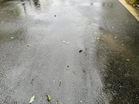 雨に濡れたアスファルトの道 道,アスファルト,雨の写真素材