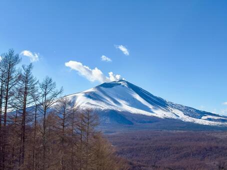 噴煙を上げる雪の浅間山と青空 浅間山,山,雪山の写真素材
