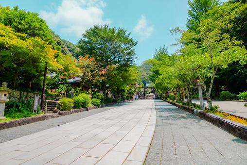 【岐阜】伊奈波神社 2025 【岐阜】伊奈波神社 2025の写真