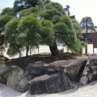 笠間稲荷神社-11 笠間稲荷神社,茨城県笠間市,日本三大稲荷の写真素材