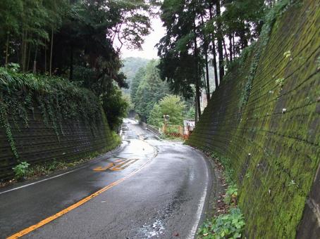 雨に濡れた峠道 峠道,ぬれた路面,スリップ注意の写真素材